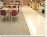 Floor Cleaner